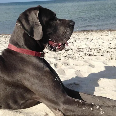 Traumblick Mit Meerblick * Maasholm-Bad