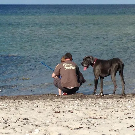 Traumblick Mit Meerblick Tatil Evi Maasholm-Bad